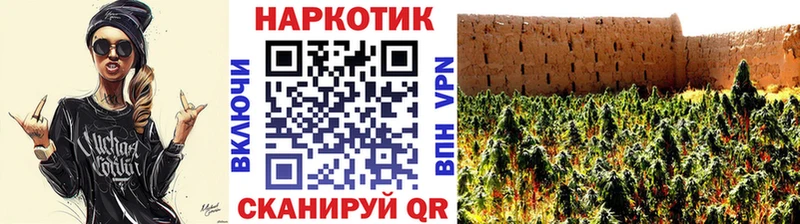 Купить Каннабис  А ПВП  Псилоцибиновые грибы  Меф  Грайворон