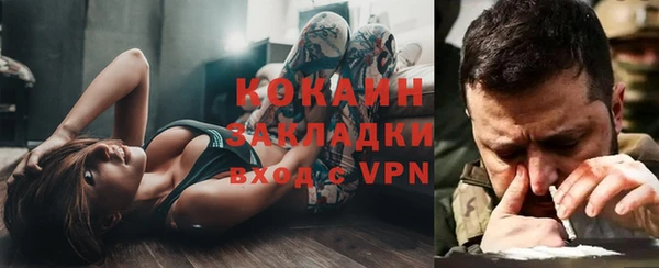 трава Гусиноозёрск