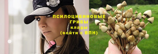меф Гусь-Хрустальный