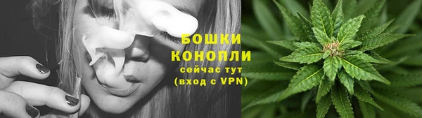 трава Гусиноозёрск
