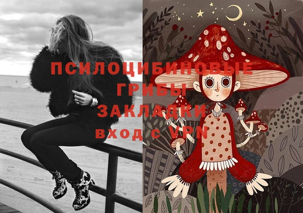 меф Гусь-Хрустальный