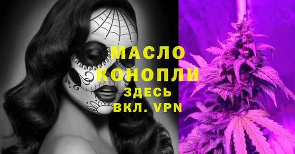 трава Гусиноозёрск