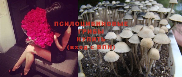 трава Гусиноозёрск
